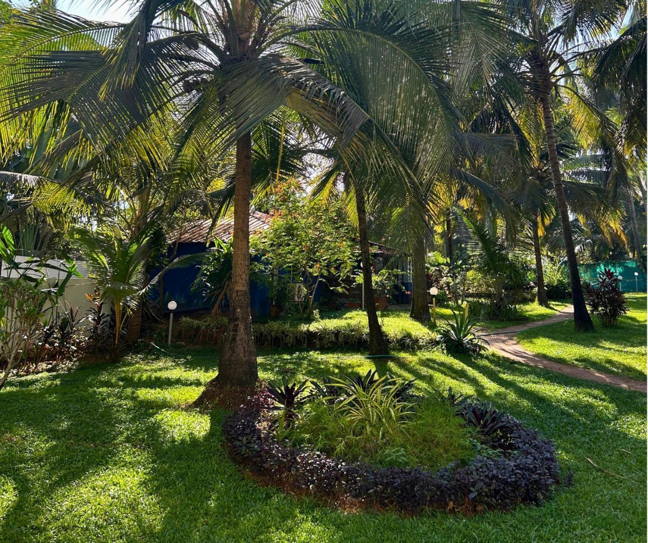 Jungle Hut-Annabelle'S Beach Apartments At Bernard Simao,Calangute,Goa 칸돌림 외부 사진