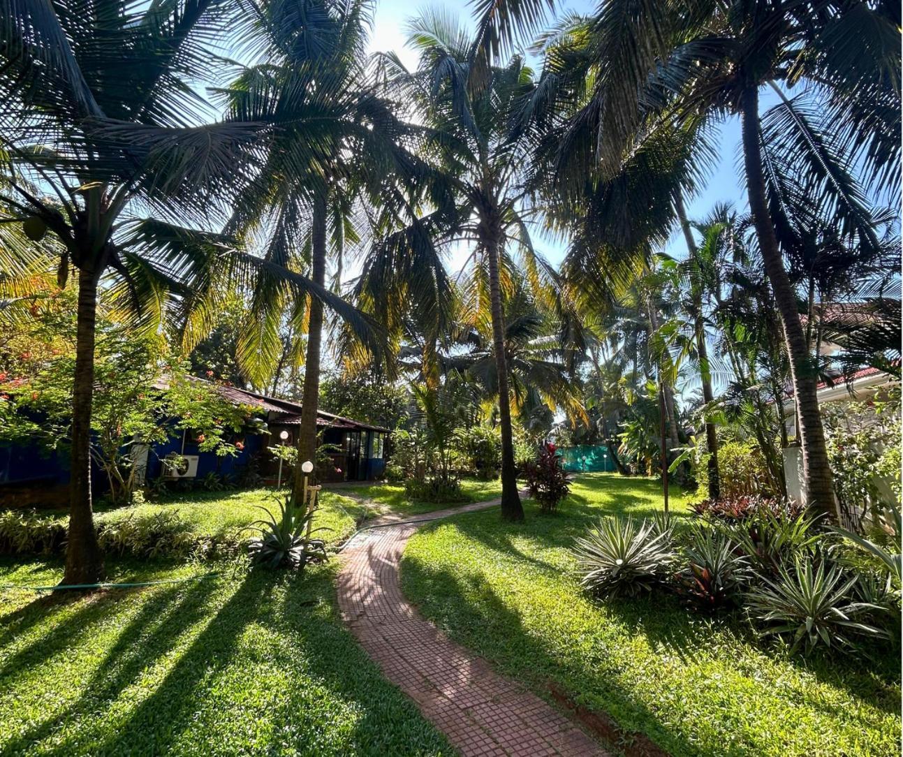 Jungle Hut-Annabelle'S Beach Apartments At Bernard Simao,Calangute,Goa 칸돌림 외부 사진
